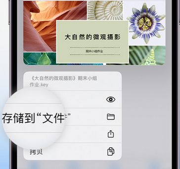 沛县apple维修中心分享iPhone文件应用中存储和找到下载文件