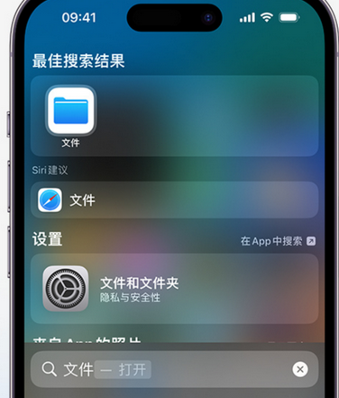 沛县apple维修中心分享iPhone文件应用中存储和找到下载文件 