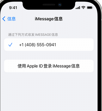 沛县apple维修iPhone上无法正常发送iMessage信息 