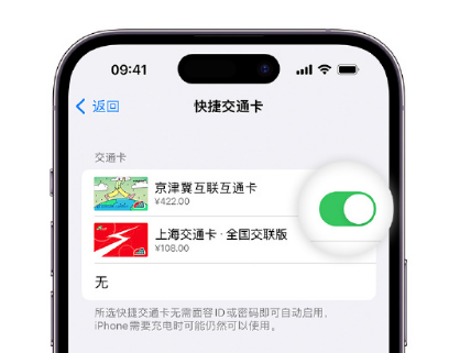 沛县apple维修点分享iPhone上更换Apple Pay快捷交通卡手绘卡面 