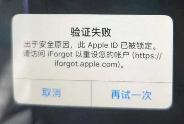 沛县iPhone维修分享iPhone上正常登录或使用AppleID怎么办 