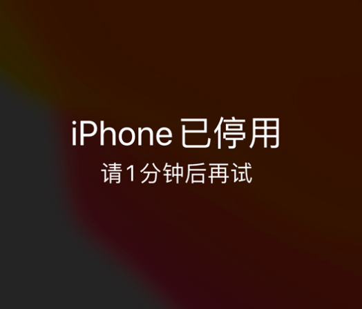 沛县苹果手机维修分享:iPhone 显示“不可用”或“已停用”怎么办？还能保留数据吗？ 