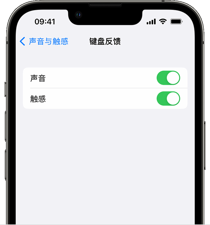 沛县苹果14维修店分享如何在 iPhone 14 机型中使用触感键盘 