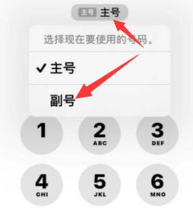 沛县苹果14维修店分享iPhone 14 Pro Max使用副卡打电话的方法 