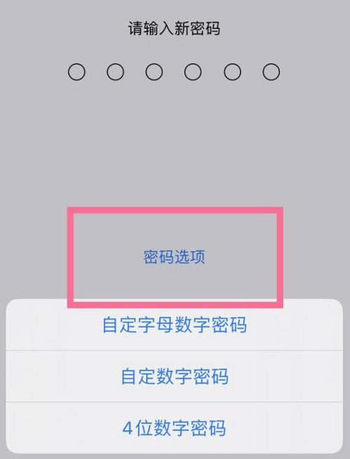 沛县苹果14维修分享iPhone 14plus设置密码的方法 