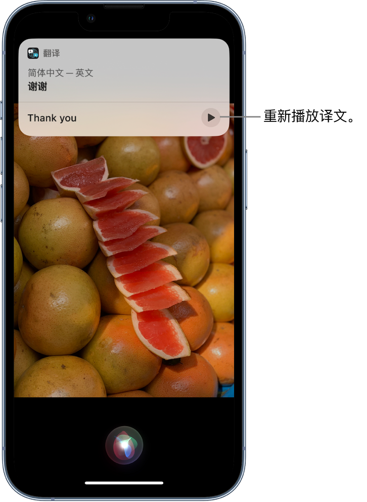 沛县苹果14维修分享 iPhone 14 机型中使用 Siri：了解 Siri 能帮你做什么 