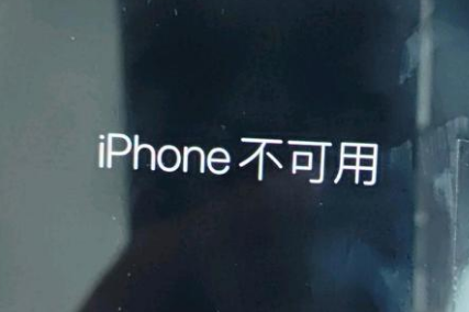 沛县苹果服务网点分享锁屏界面显示“iPhone 不可用”如何解决 