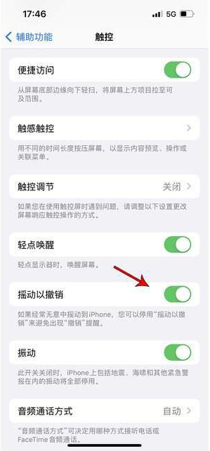 沛县苹果手机维修分享iPhone手机如何设置摇一摇删除文字 