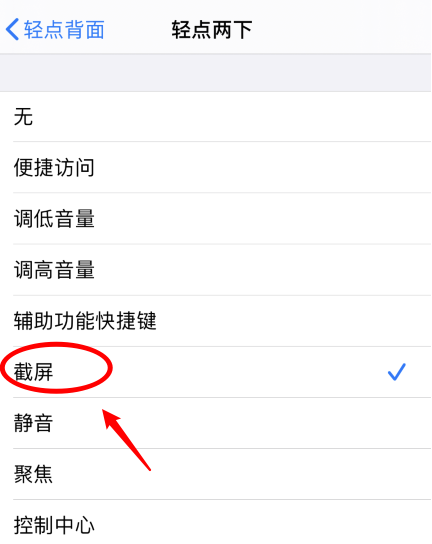 沛县苹果手机维修分享iPhone12如何启用双击截屏 